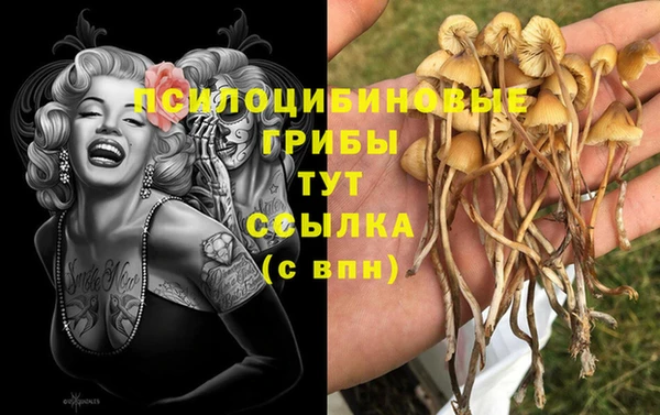 ECSTASY Верхний Тагил