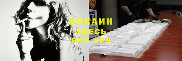 мдпв Волоколамск