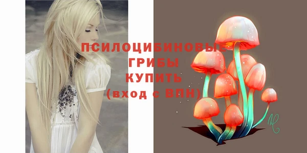 ECSTASY Верхний Тагил