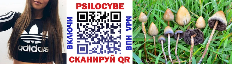 Псилоцибиновые грибы прущие грибы  Челябинск 