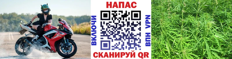 купить наркотики цена  ссылка на мегу как войти  Шишки марихуана VHQ  Челябинск 